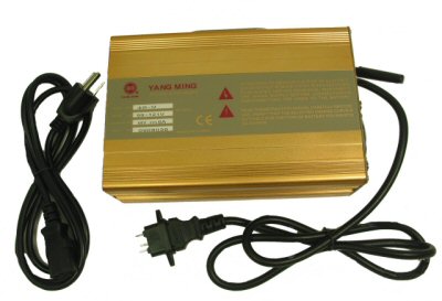 48V Premium Electric Battery Charger